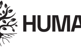 Humata: The Revolutionary AI Tool That Makes Your Files Talk